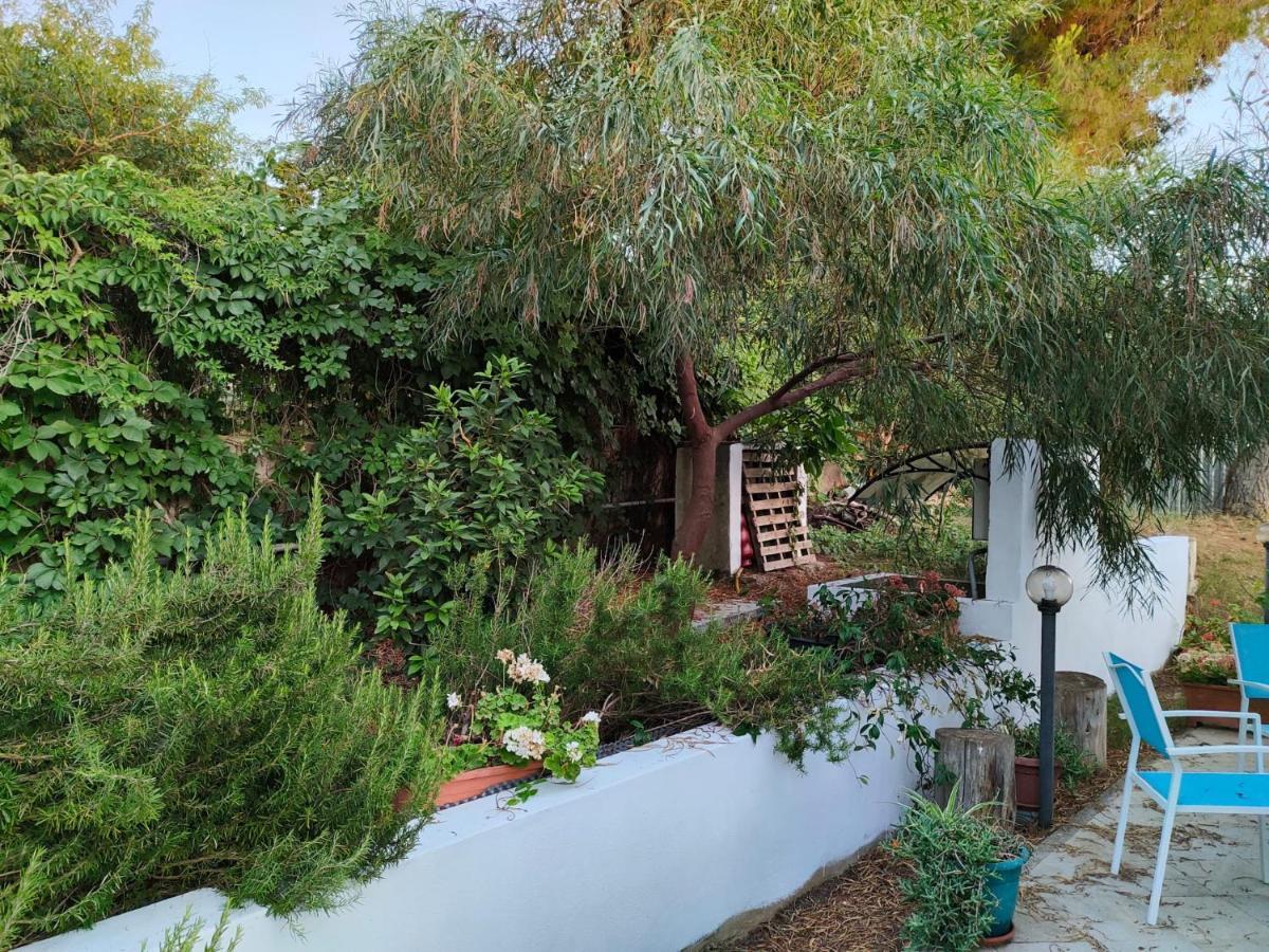 Filoxenia Di Umberto Guest House Sassari Exterior photo